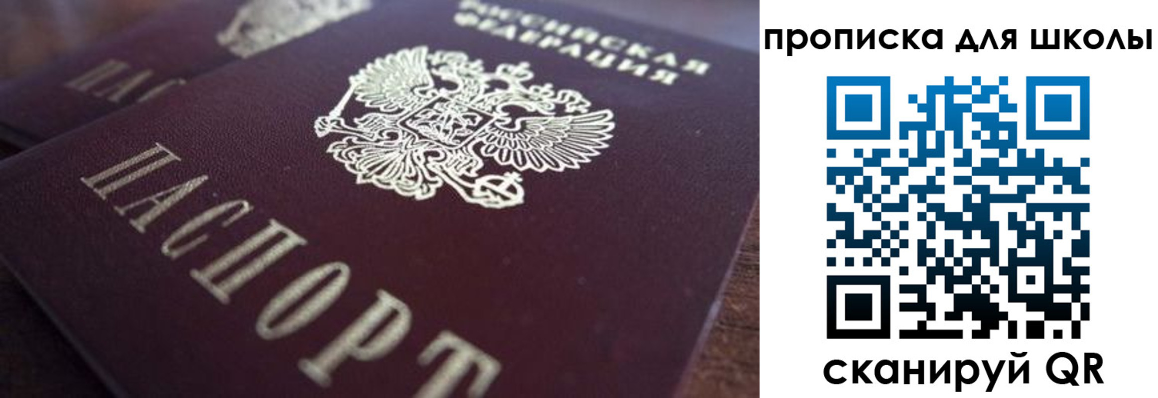 прописка поиск в Похвистнево